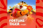 Baixar e instalar o aplicativo Lot Of Money Tiger